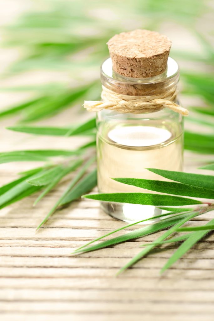 L'huile essentielle de tea tree : un allié de choix pour une beauté naturelle IlayaCare_SecretBeaute_TeeTrea2