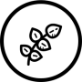 B-ingredients-sains B-ingredients-sains